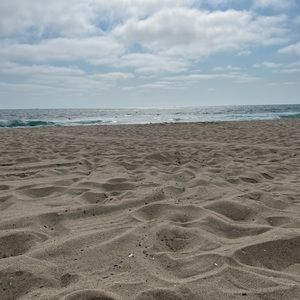 Meet your Posher, Lily